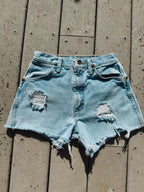 WRANGLER WINKS 25”